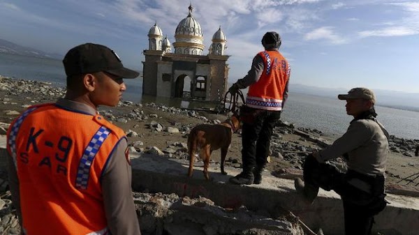 30 Masjid Semi Permanen akan Dibangun di Palu dalam Dua Bulan