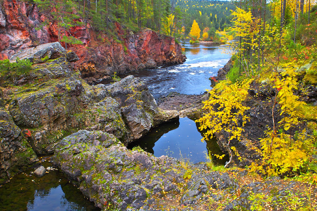 Oulanka National Park 