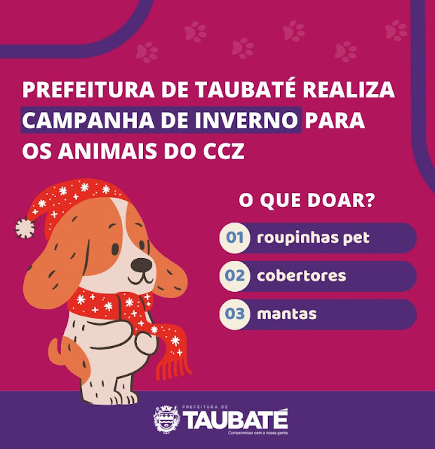 CCZ em parceria com a ONG Chico Patas começou a agasalhar os animais