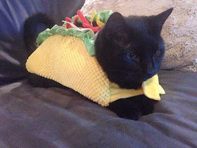 Funny cats - part 79 (35 pics + 10 gifs), cat in burrito costume