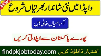 WAPDA Jobs 2024