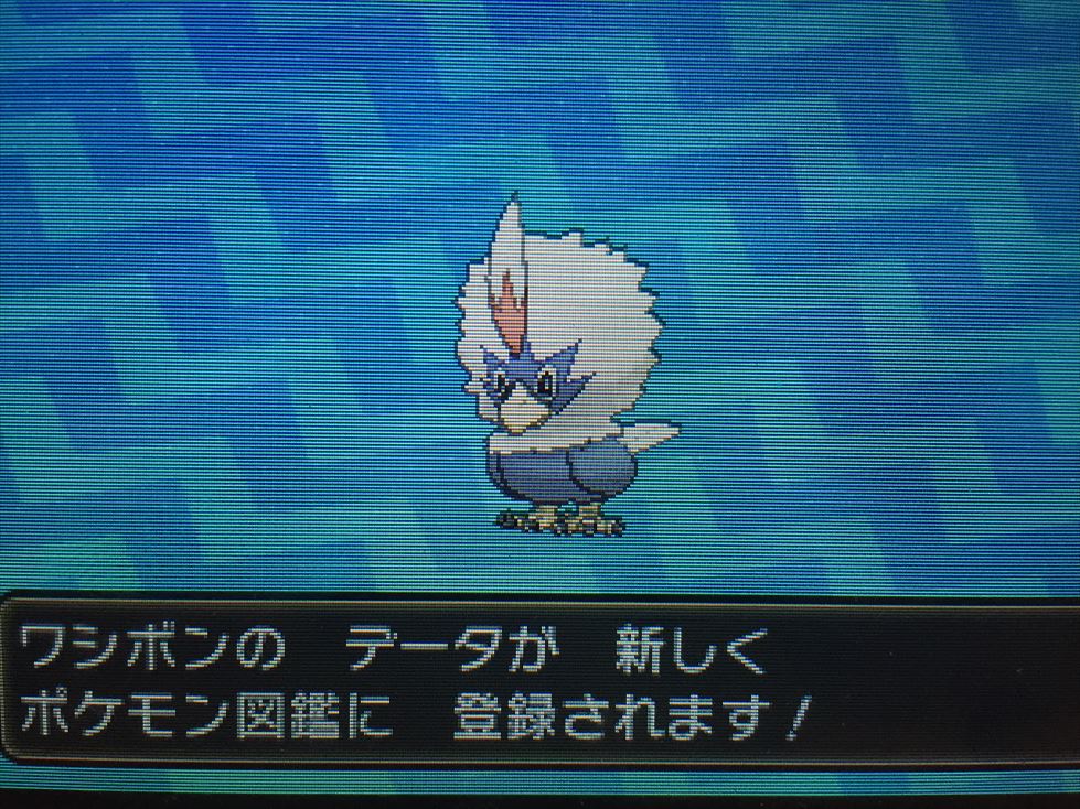 ポケさんぽ ポケットモンスター サン 4 3番道路 ポートエリア 3ds