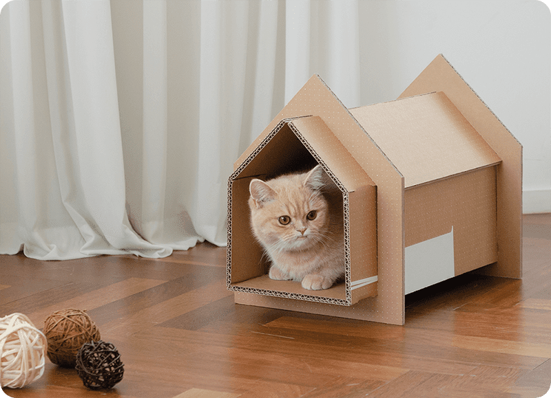 #ICYMI: You can turn Samsung TV boxes into an eco-friendy pet home with new designs