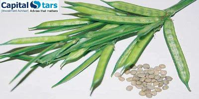 Agri commodity Calls, Guar Seed Tips , Intraday Trading Tips, Mcx Commodity Tips, Mcx Tips, 