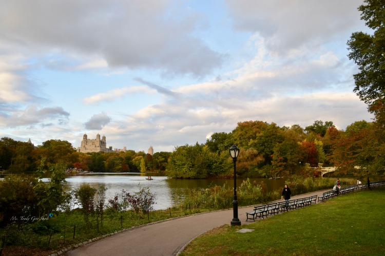 The Lake  in Central Park is breathtaking in fall! | Ms. Toody Goo Shoes #NewYorkCity 