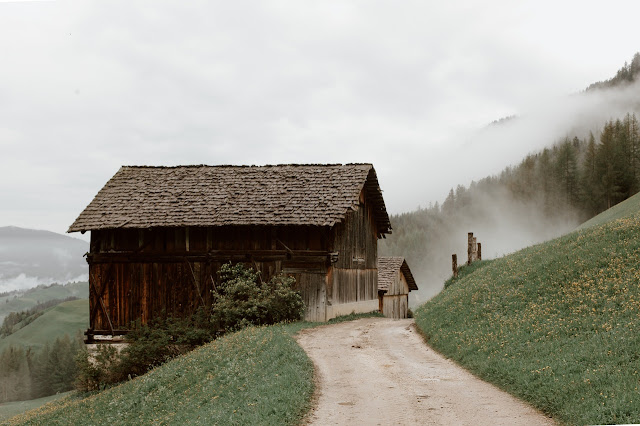 Photo by eberhard grossgasteiger from Pexels