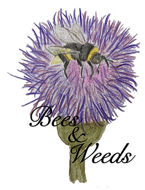 Bees &amp; Weeds