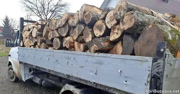 Transporturi ilegale de lemn identificate și confiscate de polițiști