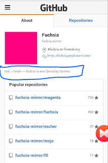 Google new fuchsia OS