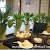 Trang trí nội thất văn phòng