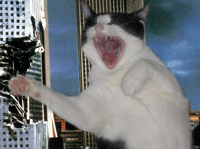 Watch as Catzilla Attacks Seen On www.coolpicturegallery.us