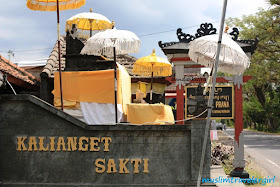 kebun anggur di buleleng