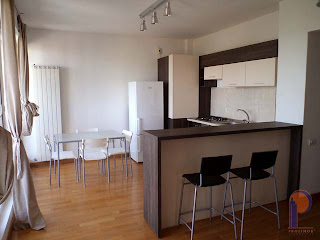 Apartament Kiseleff - bucatarie