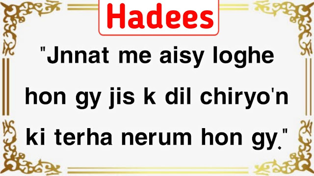 Hadees e Nabvi