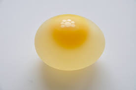 What will happen if you soak a raw egg in vinegar for 24 hours?