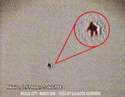 The Humanoid Flying Creatures From Mexico
