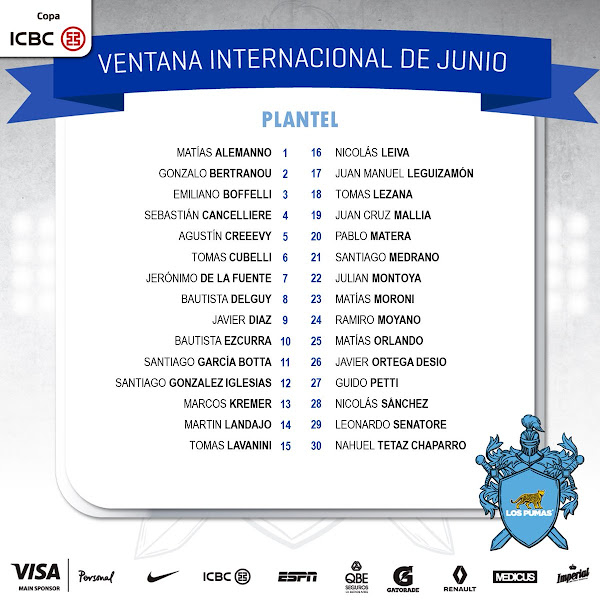 Los Pumas: plantel para enfrentar a Gales y Escocia