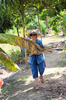 Chiang Mai, Thailand: Maerim Elephant Sanctuary