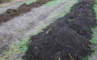 Торф с перегноем на поверхности для посадки винограда