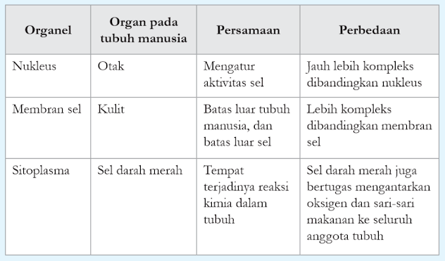 Perbandingan organela dan organ manusia