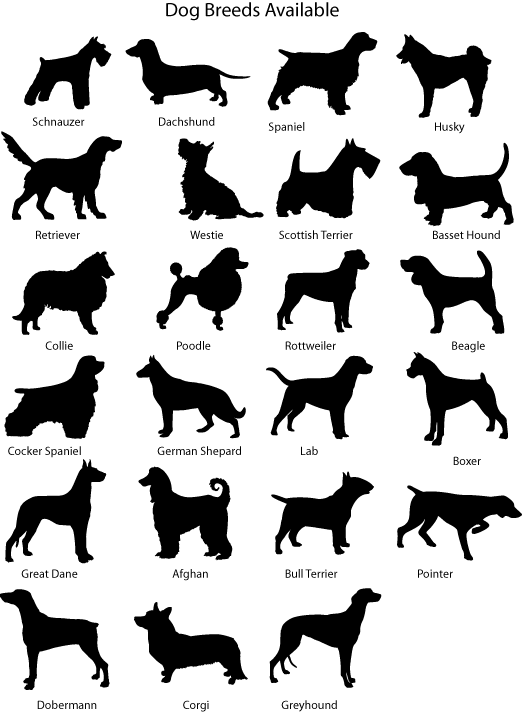 Dogs Pictures With Names. breed The names and dog