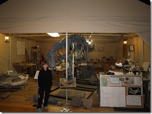 An exhibit of how people digging up bones work.