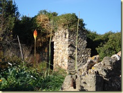 DSC00213