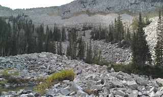 Mayberry Lake Alta Utah