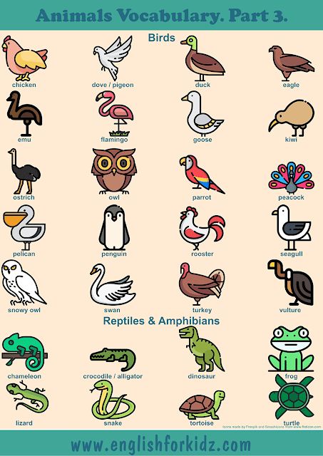 Birds vocabulary and reptiles vocabulary to learn names of animals in English – printable ESL worksheets