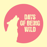 https://daysofbeingwildcorp.bandcamp.com/