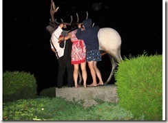 elk