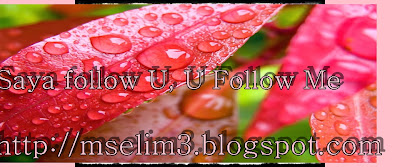 Segmen Saya Follow U,U Follow Me By mselim3