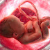 «Πολιτισμός»: Νοσοκομεία στην Βρετανία χρησιμοποιούν για την θέρμανσή τους αποτεφρωμένα έμβρυα από εκτρώσεις…