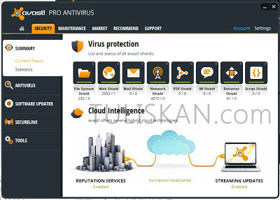 Avast! Pro Antivirus 8 Final Full License