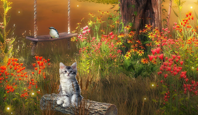 Cat in Dreamy World 3D Digital Wallpaper