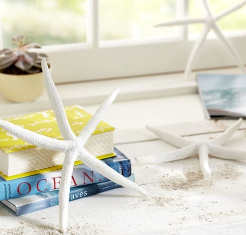 white resin finger starfish