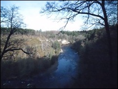 SAM_0266