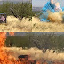 Video shows explosion at border agent's gender-reveal party that sparked Arizona wildfire