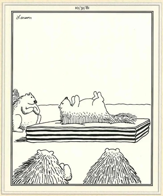 Far Side Comics