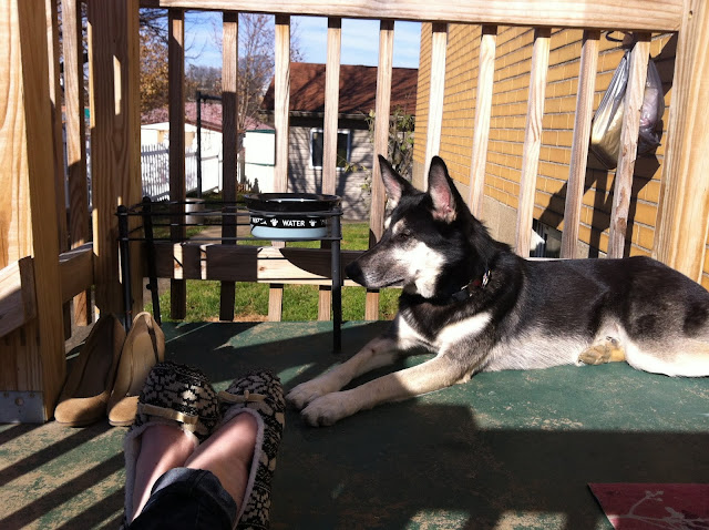 Sunday Morning Sunshine - Pepper & my slippers