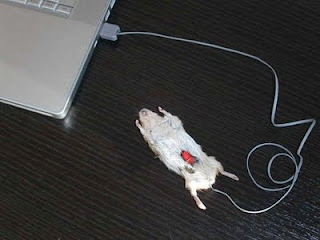 Mouse Komputer Unik Beda Dari Biasanya