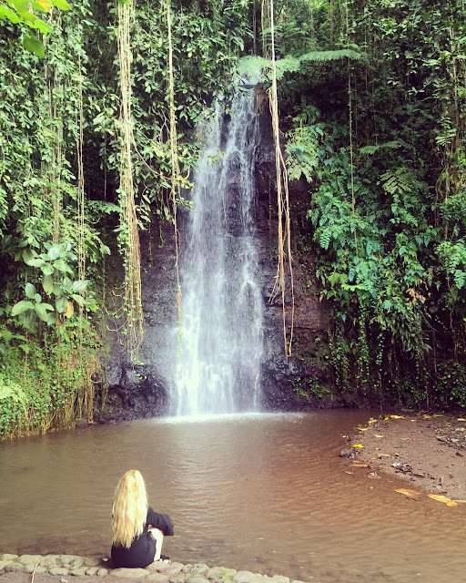 Tahiti Waterfall in Vaipahi Gardens