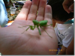 Japan to Sept 27 120