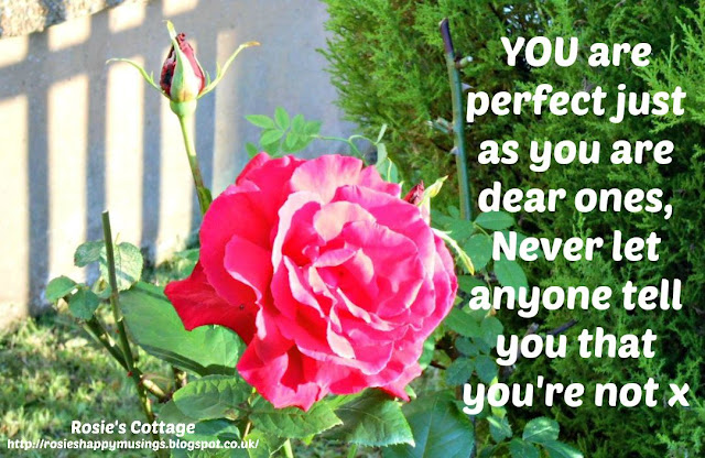 You're perfect, just as you are dear ones, don't let anyone ever tell you you're not! Hugs always, Rosie x