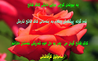 بە بوونەی کۆچی دوای دایکی هاوەری ئازیزمان کاک فاتح ئارەش سەر خۆشی خۆمان ئاراستەی بنەمالەکی دەکەێن و خۆمان بە شەریکی غەمیان دەزانین  