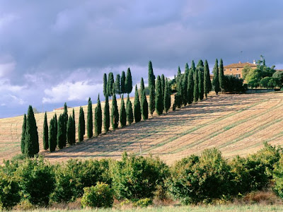 Beautiful photos of italy Seen On www.coolpicturegallery.net