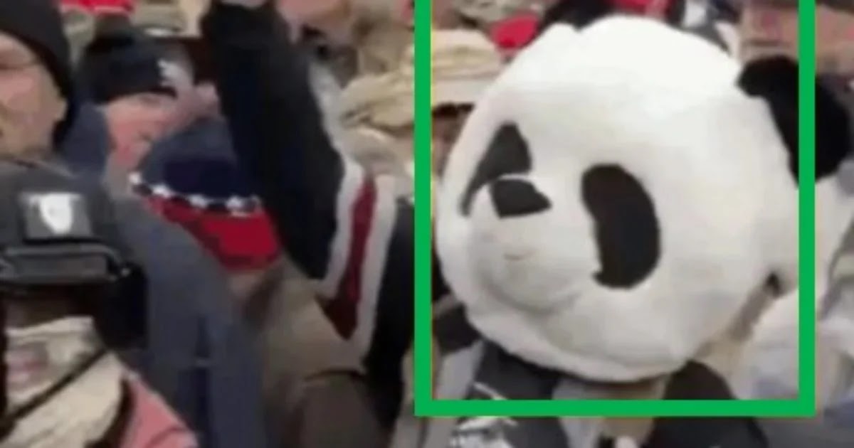 FBI Arrests Jesse Rumson after 2 Years – The January 6th Protestor Who Dressed as a Panda
