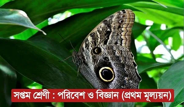 চিত্র লোড হচ্ছে...