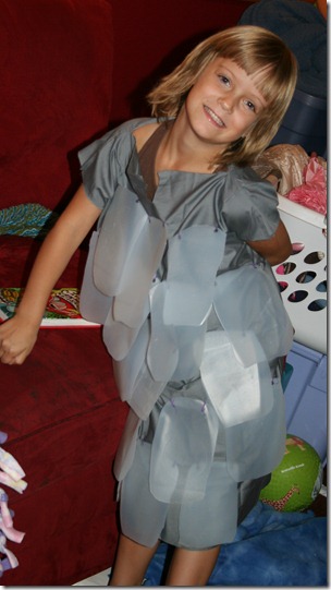 2012-09-24 Armored Vest (1)
