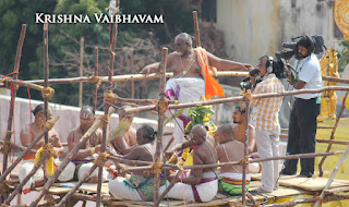 Sri TheliyaSingar , Sri Gajendra Varadhar, Samrokshanam, 2016, Video, Divya Prabhandam,Sri Parthasarathy Perumal, Triplicane,Thiruvallikeni,Utsavam,